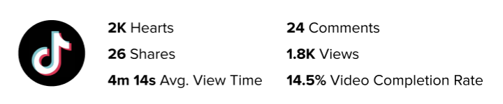 new-tiktok-metrics.png