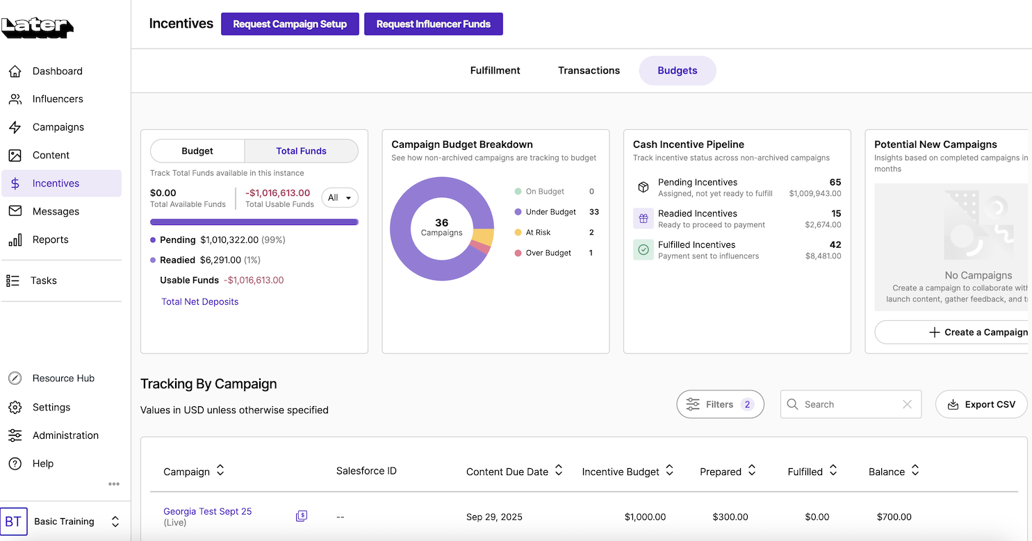 A full-screen display of the Budget tab 